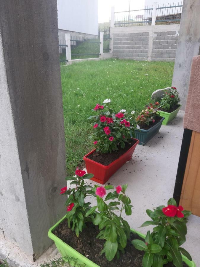 Apartments Andriyana Žabljak Εξωτερικό φωτογραφία